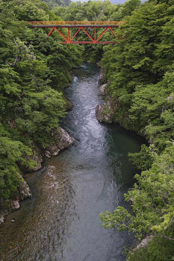 玉川渓流 2