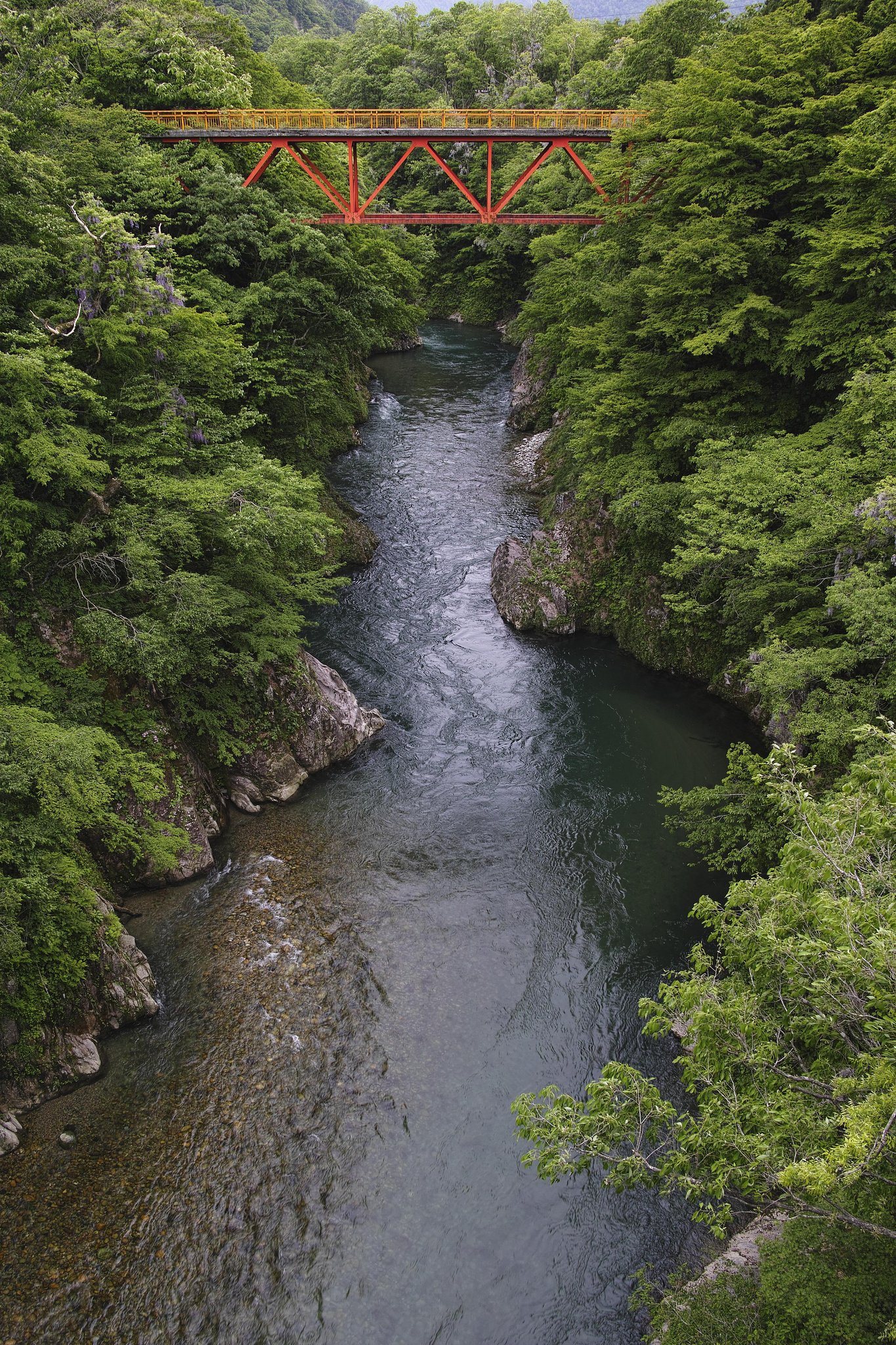 玉川渓流 2