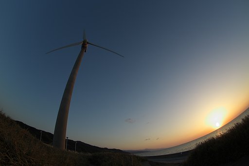 夕照