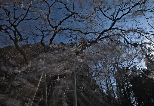 風のいたずら