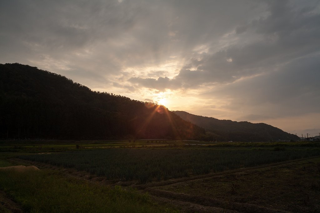 雨降りの前の夕方・・。