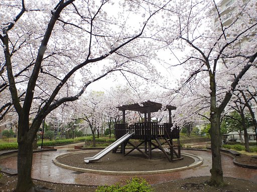 春雨の公園