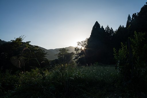 朝は、素晴らしい朝日の出・・。