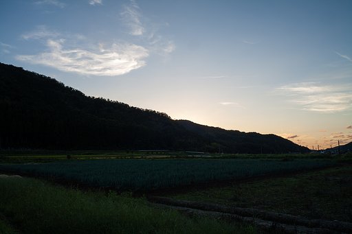 淡い夕焼けに。