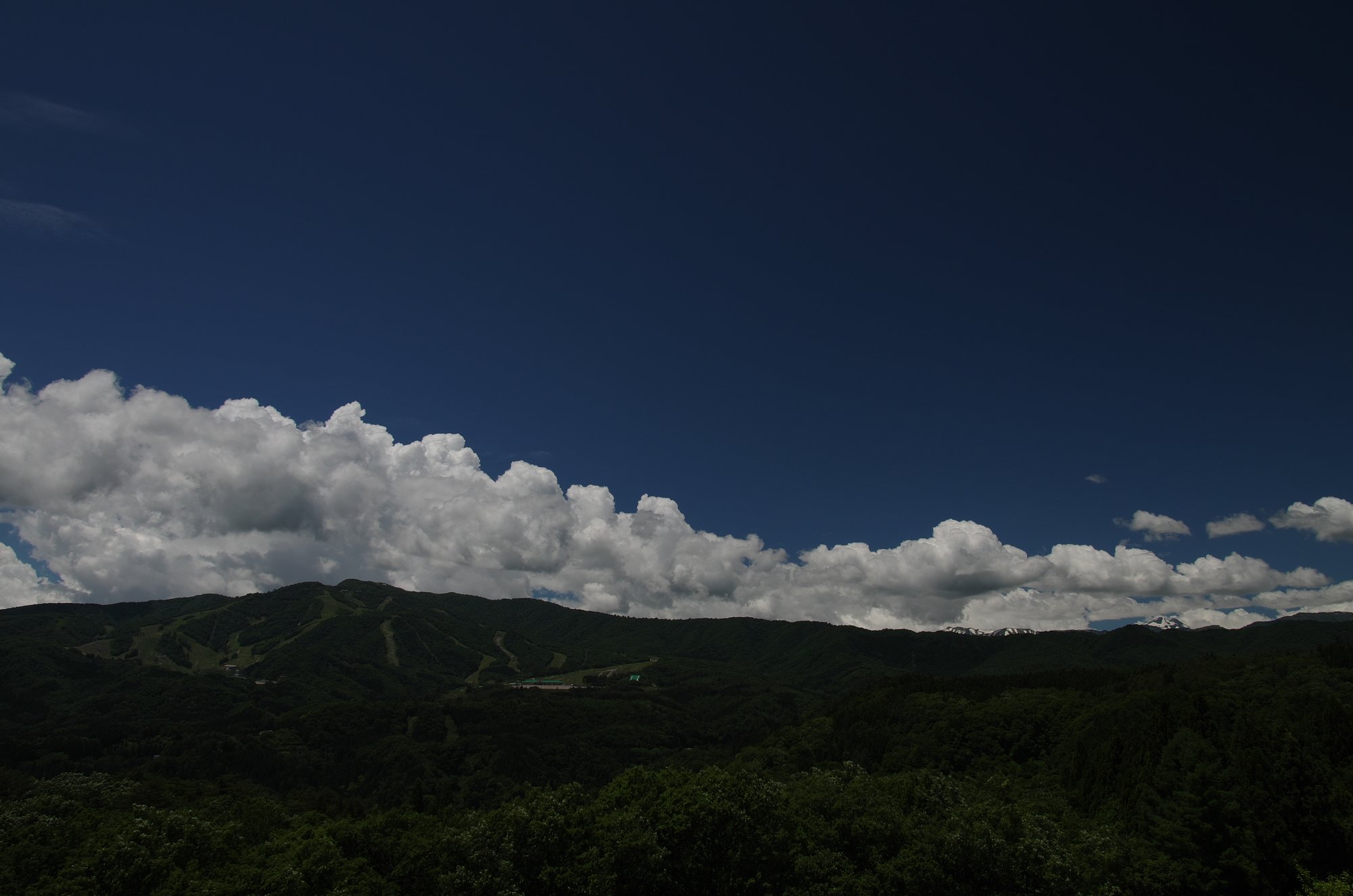 青と白と緑で