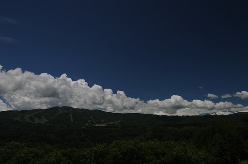 青と白と緑で