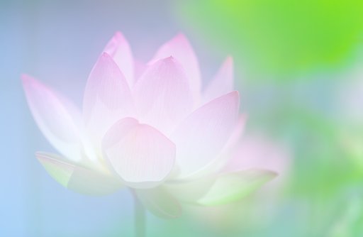 桃色吐息