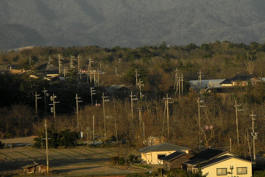 電柱