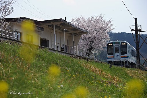春待ち列車