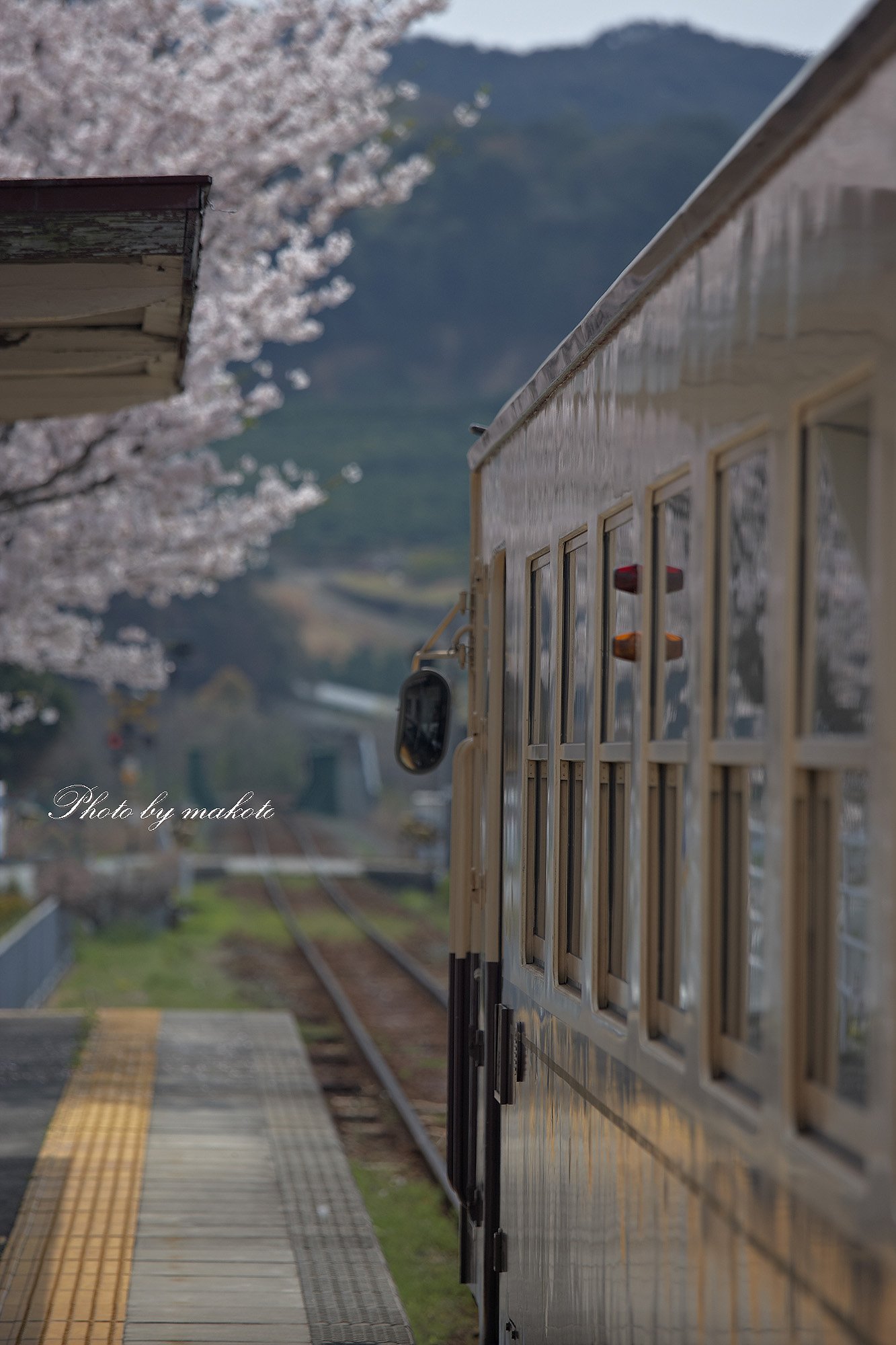 何処へ