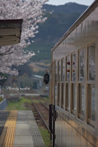 何処へ