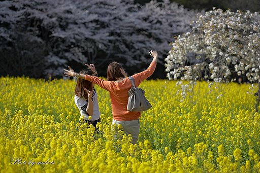 春はウキウキ！