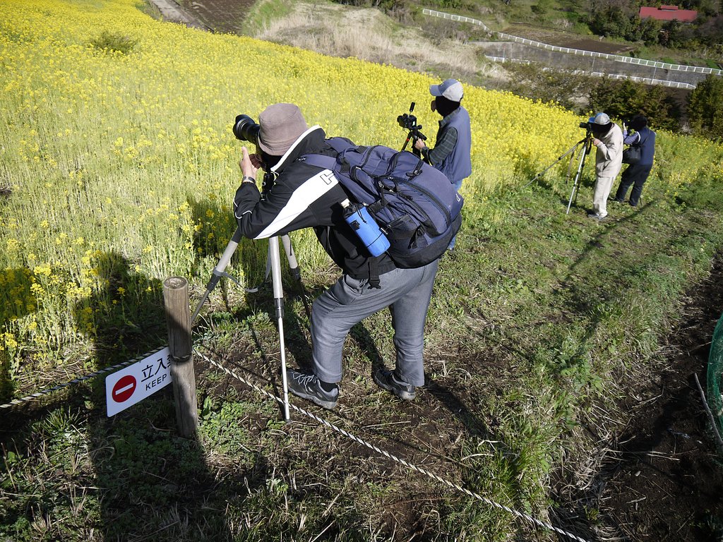立ち入り禁止！！