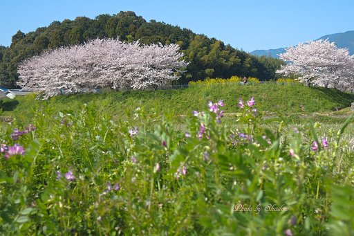 ギリギリ間に合った。