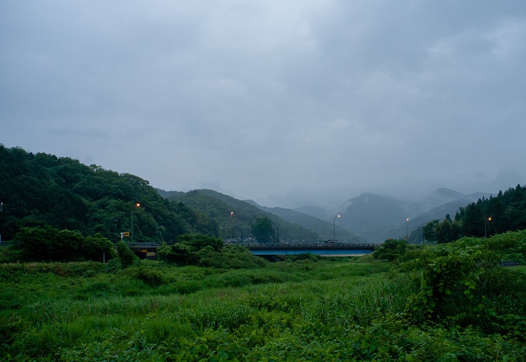梅雨の雨降り。
