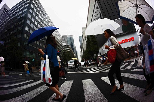 【秋】雨