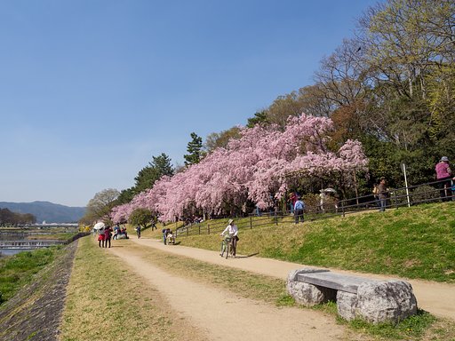 快晴＆満開