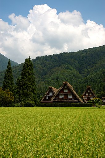 F5.6　(1)