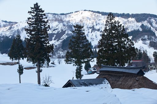 山村にも春が