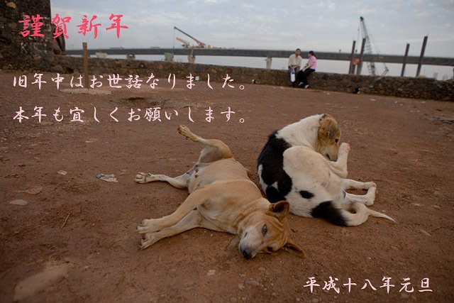 謹賀新年