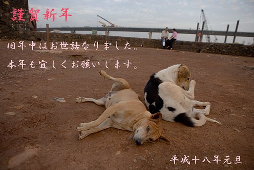 謹賀新年