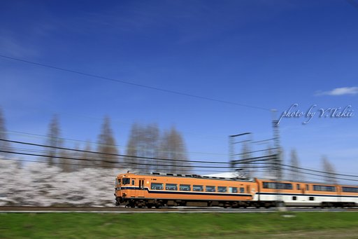 春を駆ける