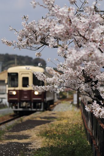 レトロな春景色
