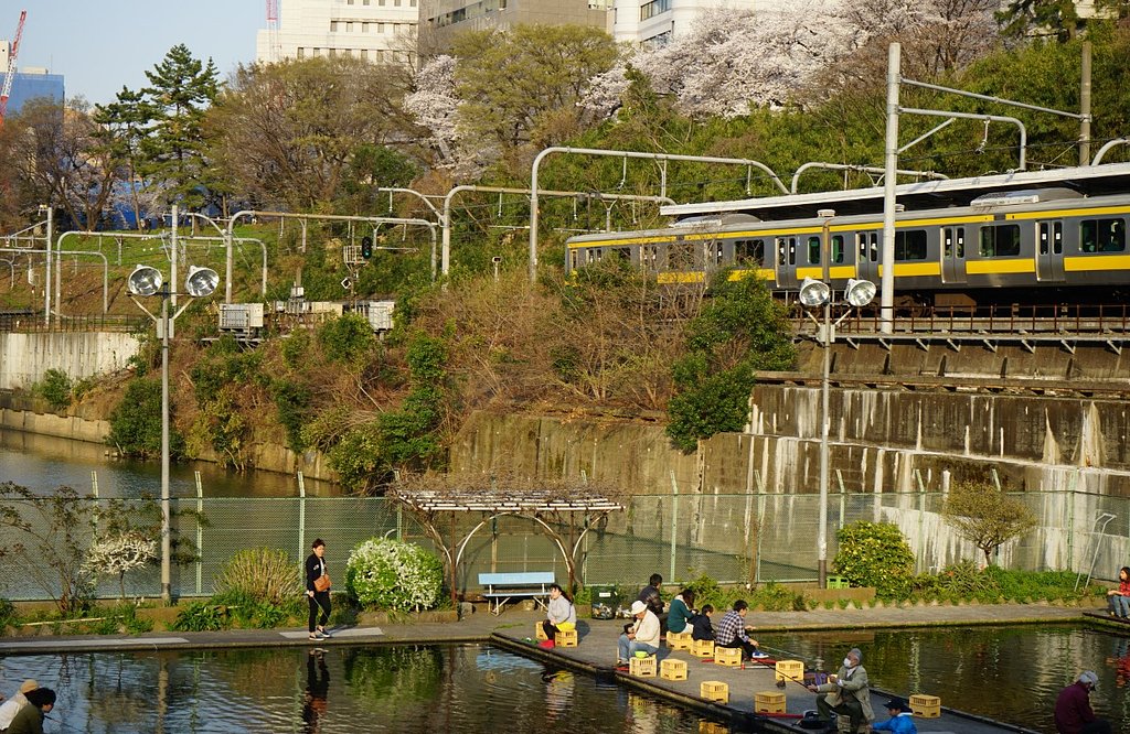 市ヶ谷でお花見・・・