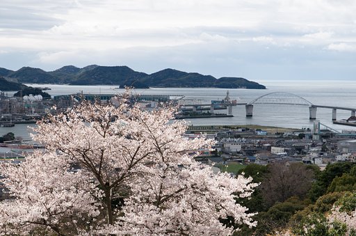 彩り