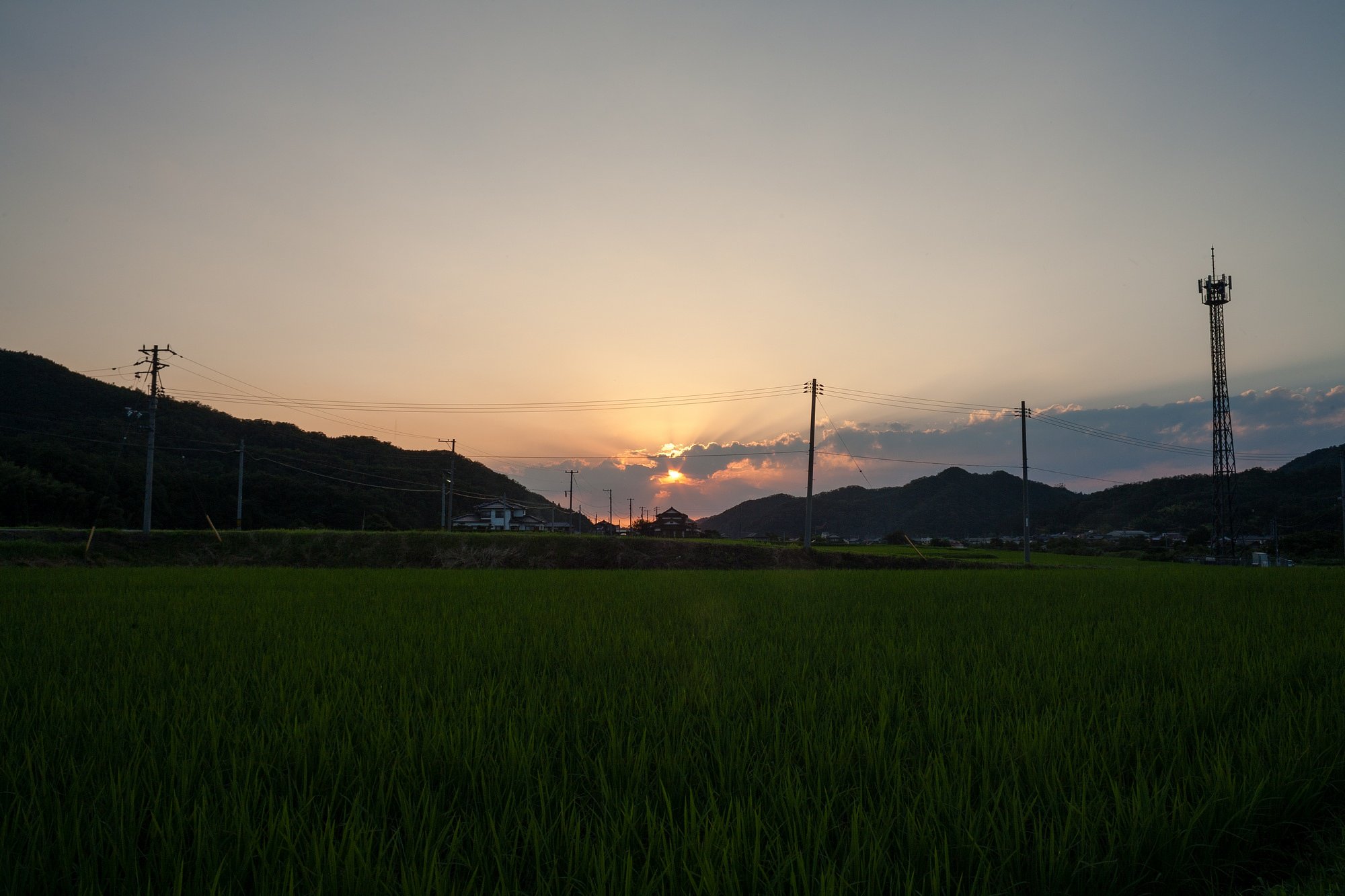 チョコット夕焼に・・。