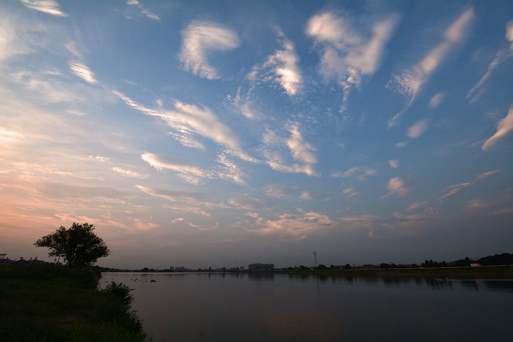 空を見上げる
