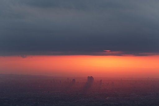 朝光に照れされて