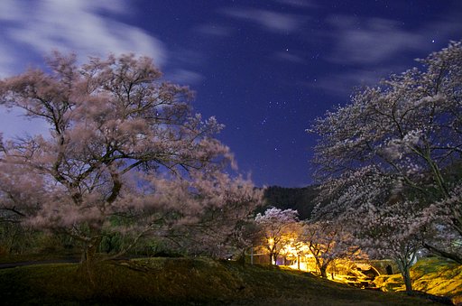 桜間鼓星