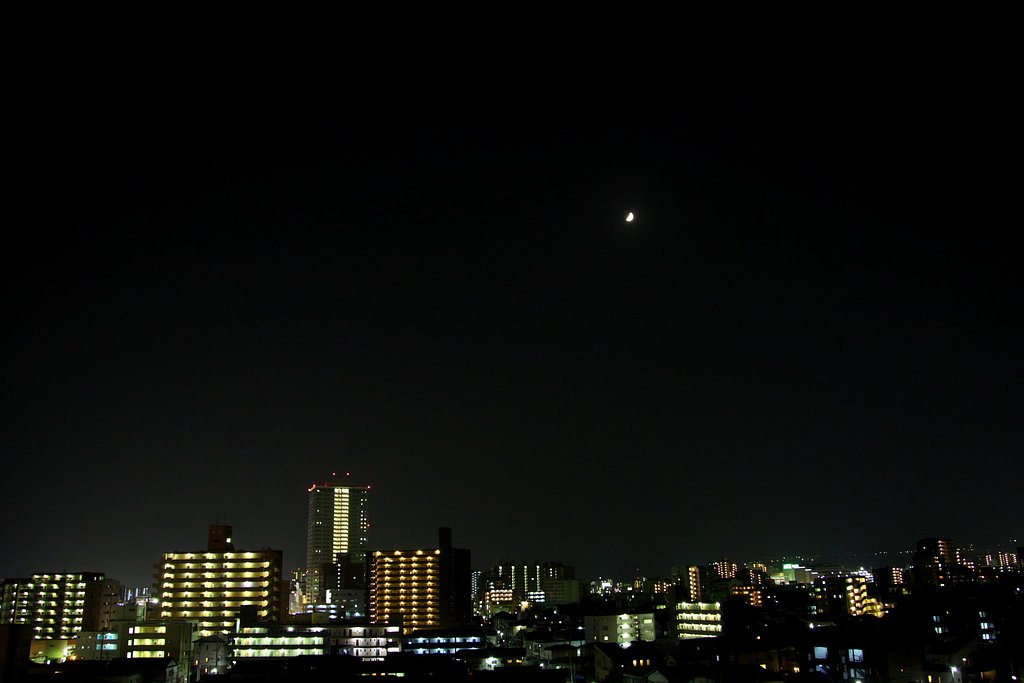 月がとっても奇麗だったから