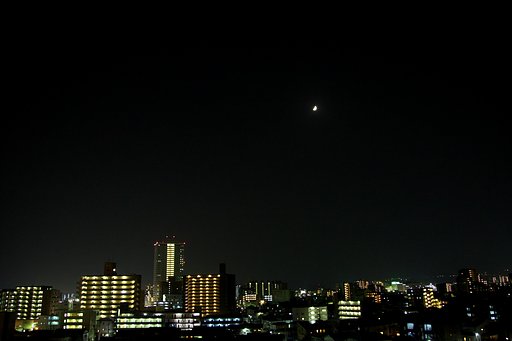 月がとっても奇麗だったから