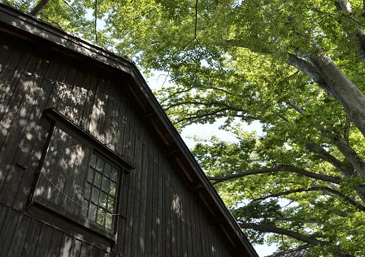 山居倉庫とケヤキの緑