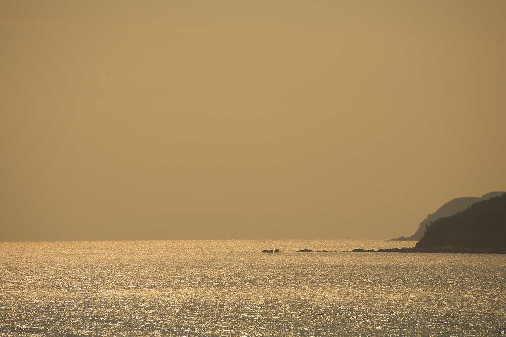 金色の海