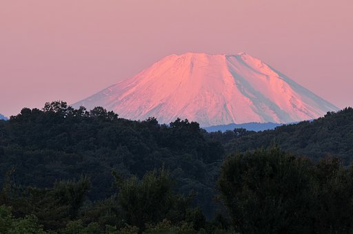 紅富士