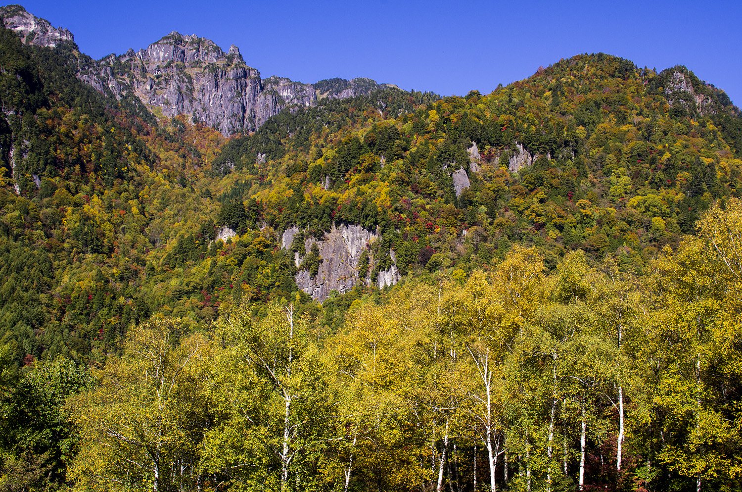 錦秋纏う錫杖岳