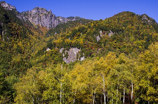 錦秋纏う錫杖岳