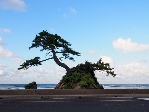 山陰海岸