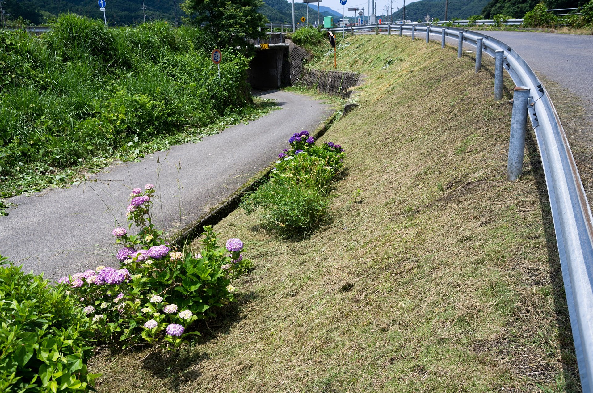 ボランティア草刈り！