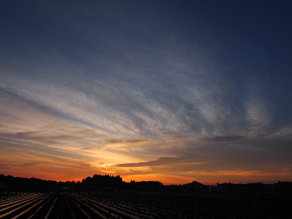 夕日