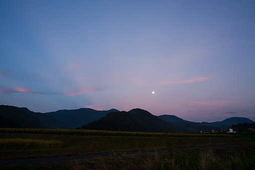 おつきさま・・。