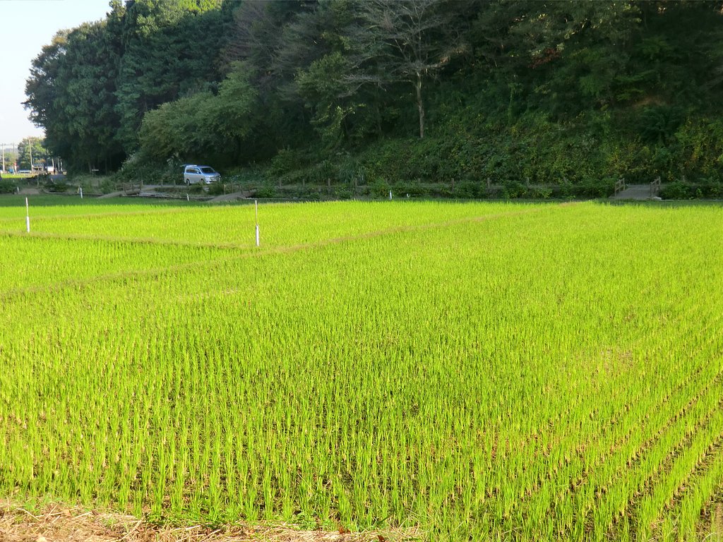 寺家ふるさと村５