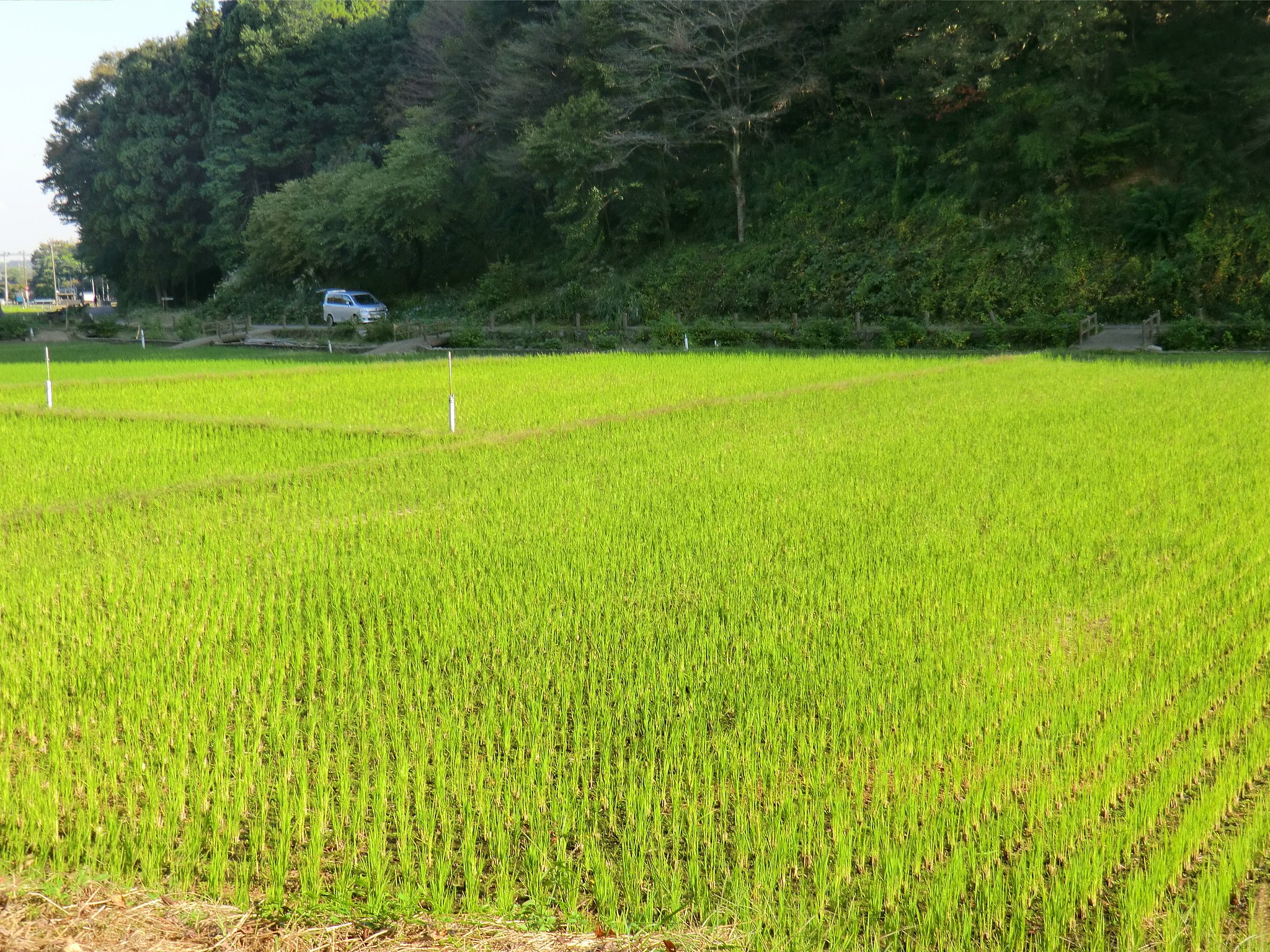 寺家ふるさと村５