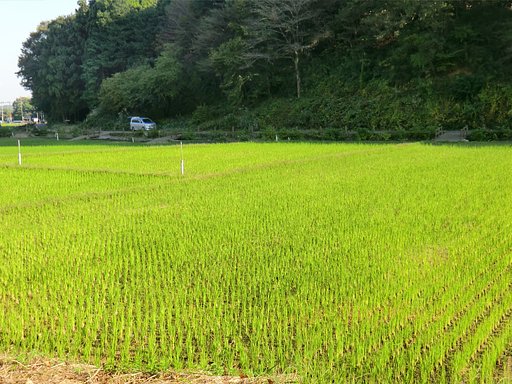 寺家ふるさと村５