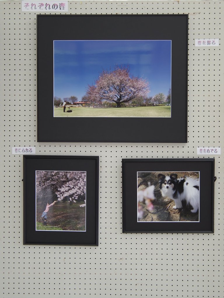 智光山写真展（私の）