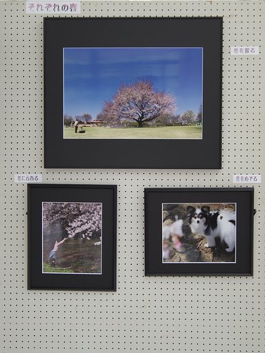 智光山写真展（私の）