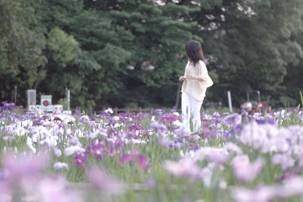 花園の花